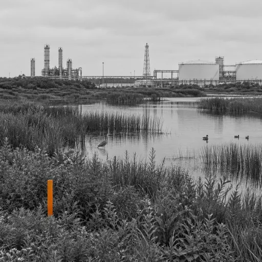 Reporting nature et biodiversité : le prochain front de conformité pour les sites pétroliers